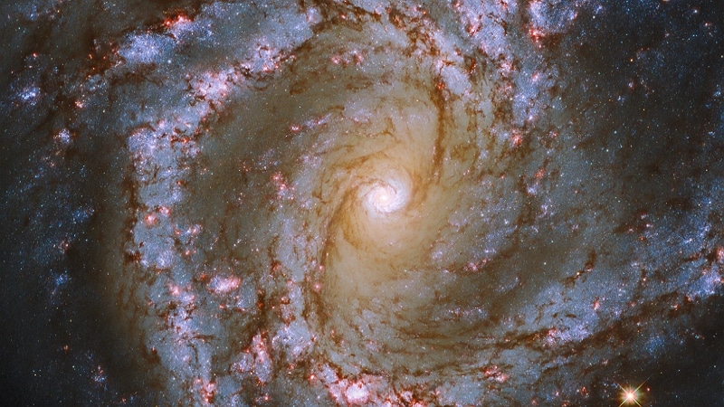 Galaxie M61 - ESA/Hubble & NASA, ESO, J. Lee et PHANGS-HST Team