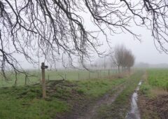 agriculteur belge deplace frontiere belgique france