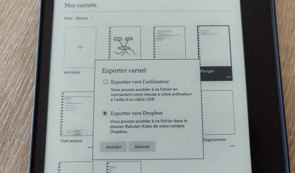 Kobo Elipsa : la liseuse de Rakuten devient un bloc-notes avec un stylet -  Les Numériques