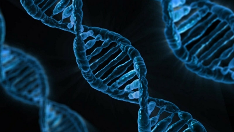 Menselijke cellen kunnen RNA-sequenties omzetten in DNA