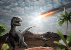 asteroide extinction dinosaures rides geantes
