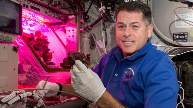 Shane Kimbrough travaille sur le dispostif Veggie - Crédits : NASA