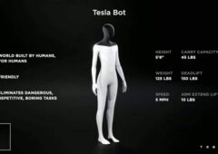 Tesla Bot