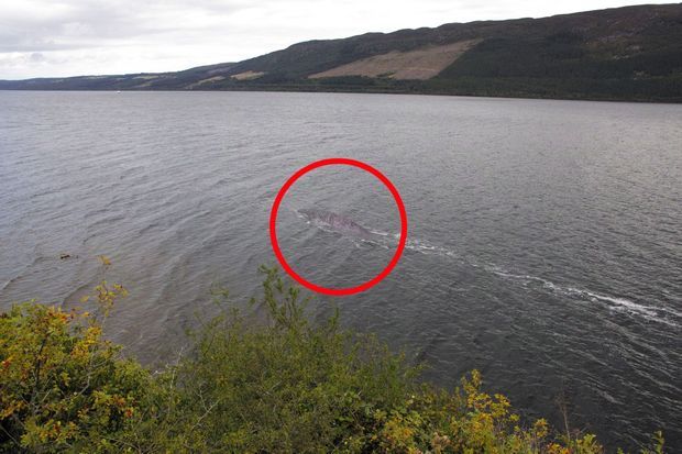Le monstre du Loch Ness enfin de sortie ?