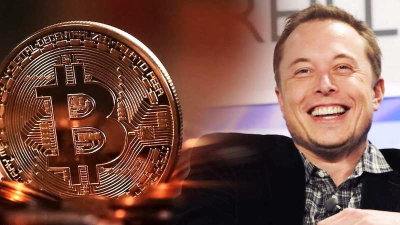 Image 1 : Elon Musk divulgue son portefeuille de crypto-monnaies et affole le Web