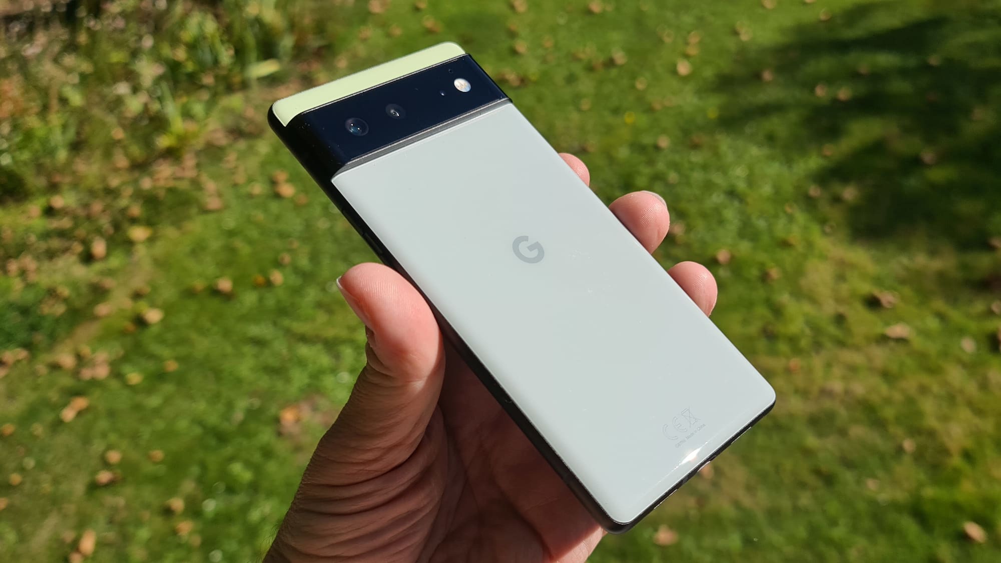 Pixel 6 MEA actu