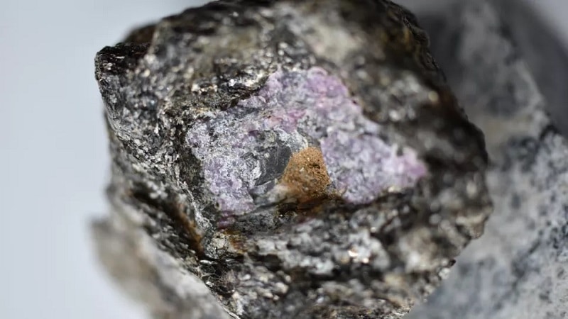 Image 1 : Ce rubis renfermait des traces de vies vieilles de 2,5 milliards d’années