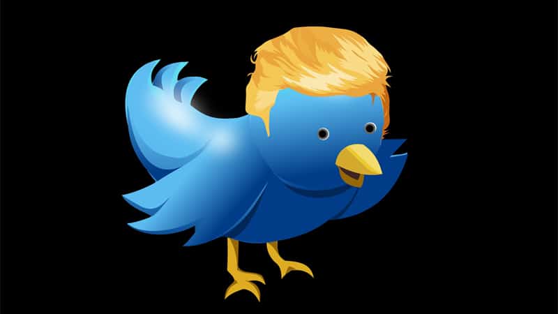 Trump lance TRUTH, son propre Twitter - Crédits : Gerd Altmann/Pixabay