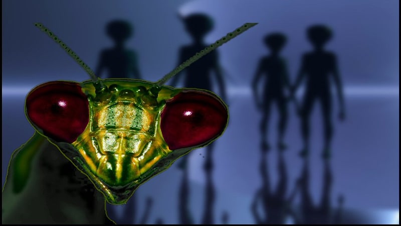 La contamination extraterrestre est une menace à prendre très  au sérieux -  Crédits : flickr/Insectoid24
