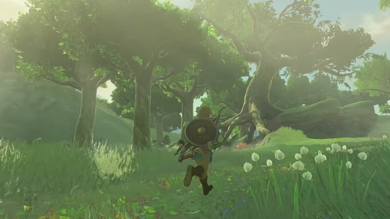 Link dans Zelda Breath of the Wild