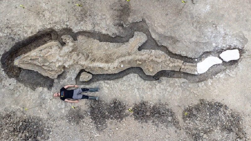 Le fossile d'un dragon des mers découvert à Rutland en Angleterre