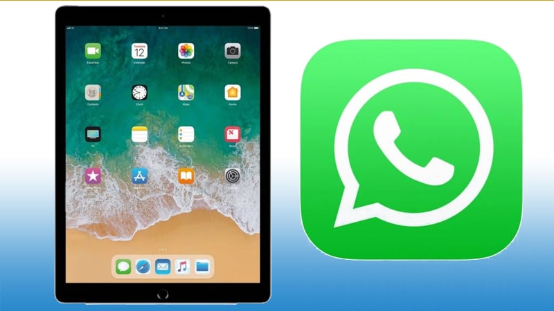 WhatsApp devrait bientôt arriver sur iPad - Crédits : WhatsApp, Apple