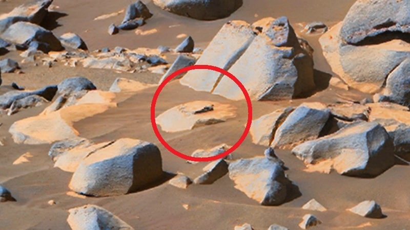 La "silhouette humaine" découverte sur une image capturée par Perseverance sur Mars