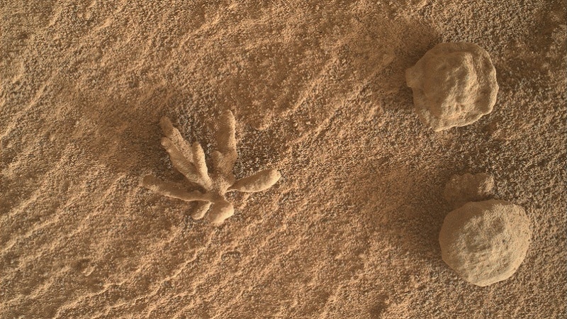 La fleur minérale découverte par Curiosity sur Mars