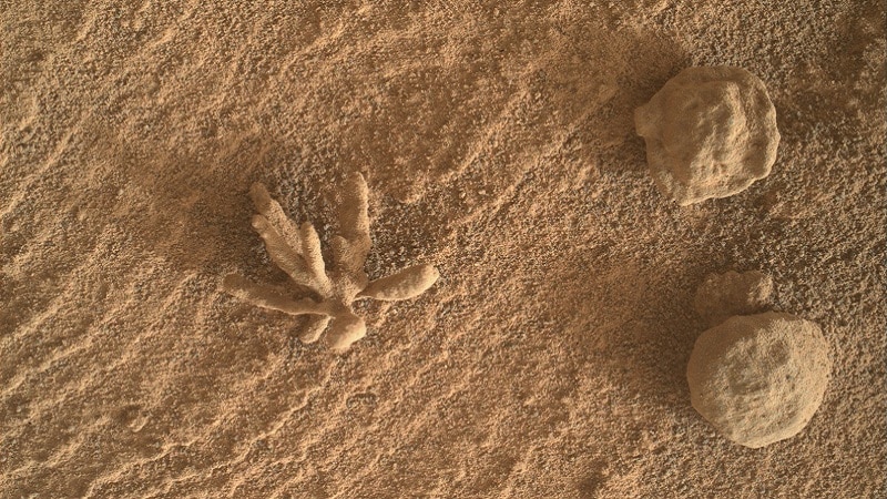 mars curiosity fleur minerale