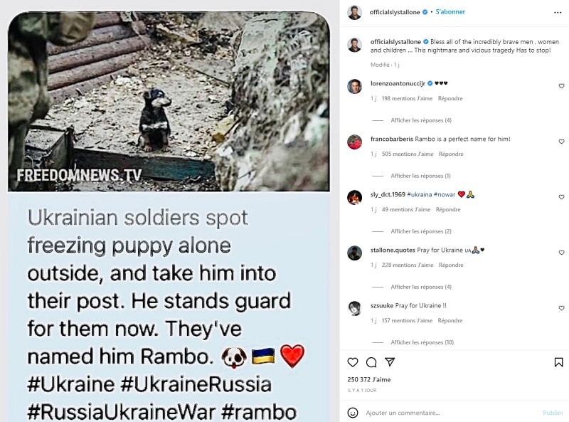 Sylvester Stallone partage la photo d'un chiot ukrainien