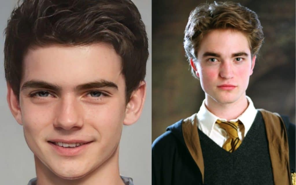 Image 12 : Harry Potter : les personnages décrits dans les livres vs les films