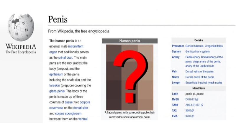À la recherche du visage du pénis le plus vu du monde (montage) - Crédits : Wikipédia