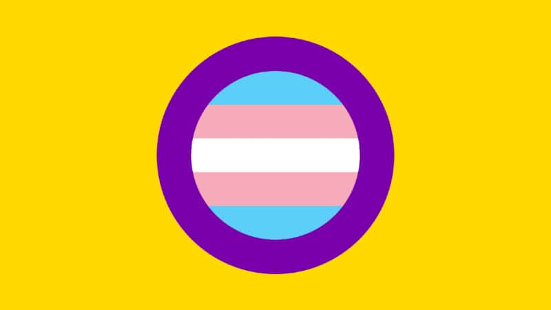 Drapeau de la trans-intersexuée "pride" - Crédits : Wikimedia