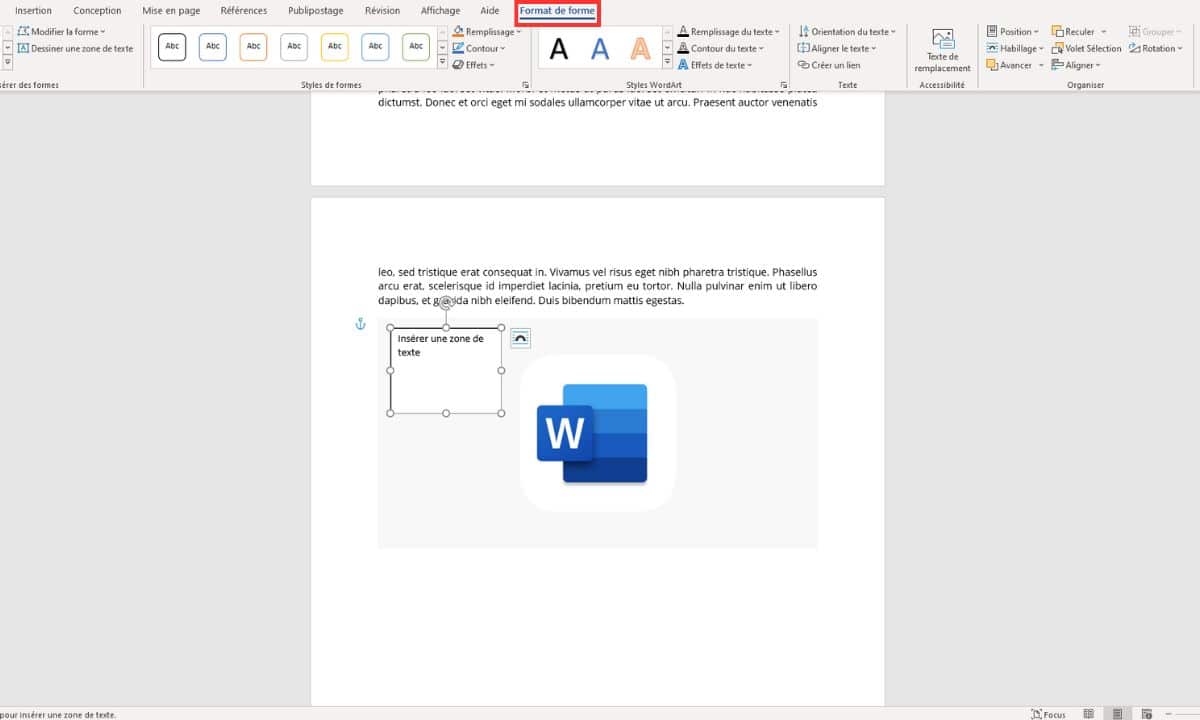 personnaliser zone de texte word