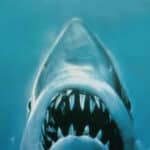 Les Dents de la mer : saviez-vous d’où provient l’affiche emblématique du film de Steven Spielberg ?