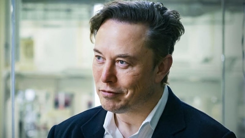 elon musk jumeaux