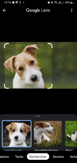 Image 3 : Android : comment identifier les animaux avec votre smartphone ?