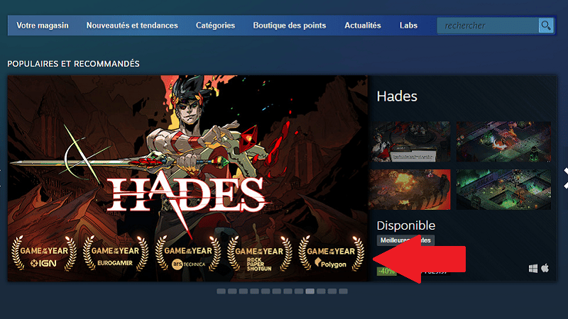 La vignette du jeu Hades sur Steam