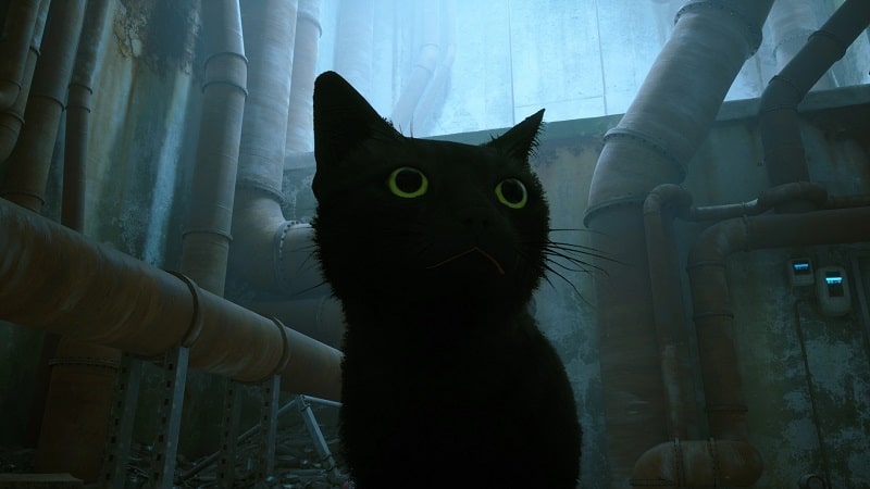 Mod d'un chat noir aux yeux verts pour Stray