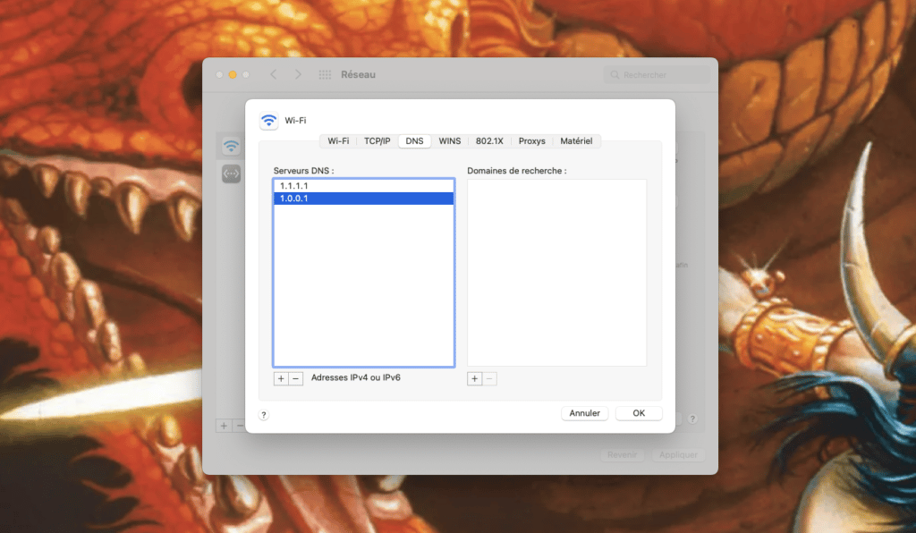 Changer le DNS sous macOS