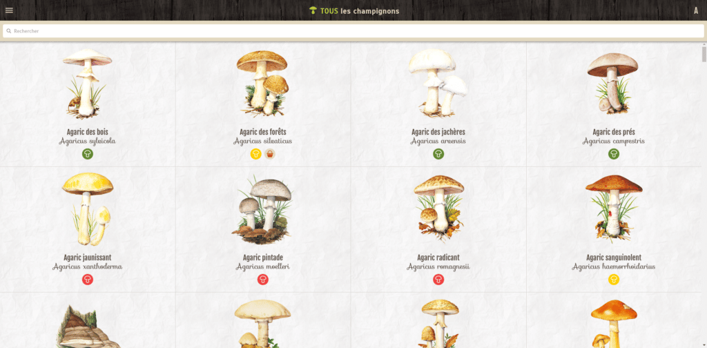 Image 2 : Les meilleures applications pour la cueillette des champignons