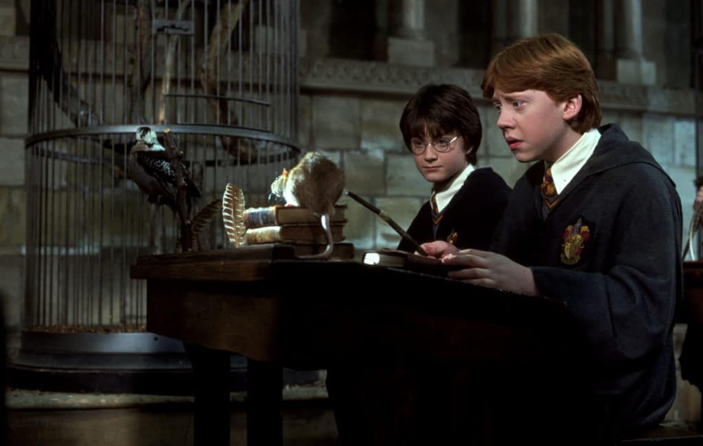 Image 1 : L'univers Harry Potter au cinéma a été enterré par la Warner
