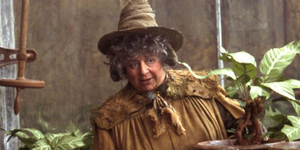 Pomona Chourave (Miriam Margolyes) © Warner Bros. Pictures