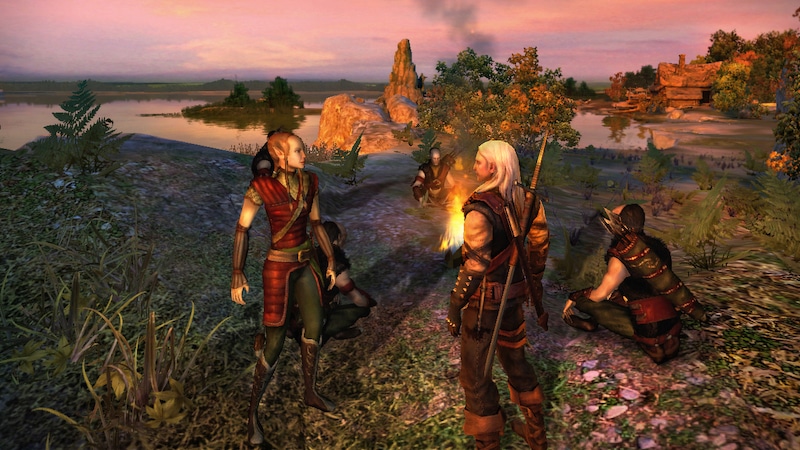 the witcher 2007