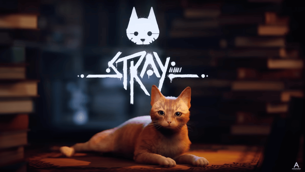 stray