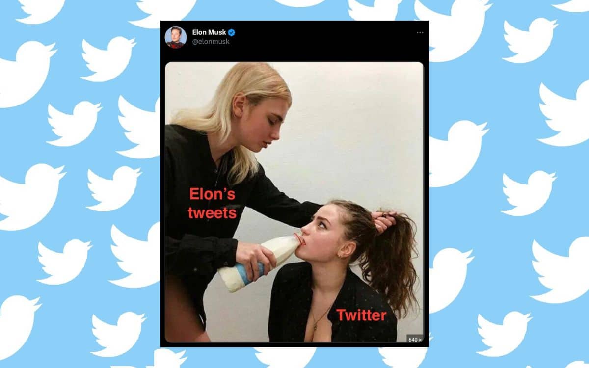 Le tweet polémique d'Elon Musk © Capture Twitter / Tom's Guide