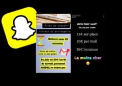 De faux arrêts maladie vendus sur Snapchat © capture d'écran franceinfo, Tom's GuideDe faux arrêts maladie vendus sur Snapchat © capture d'écran franceinfo, Tom's Guide