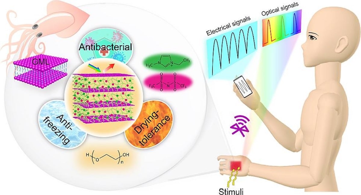 Le concept de peau artificielle © Science Direct