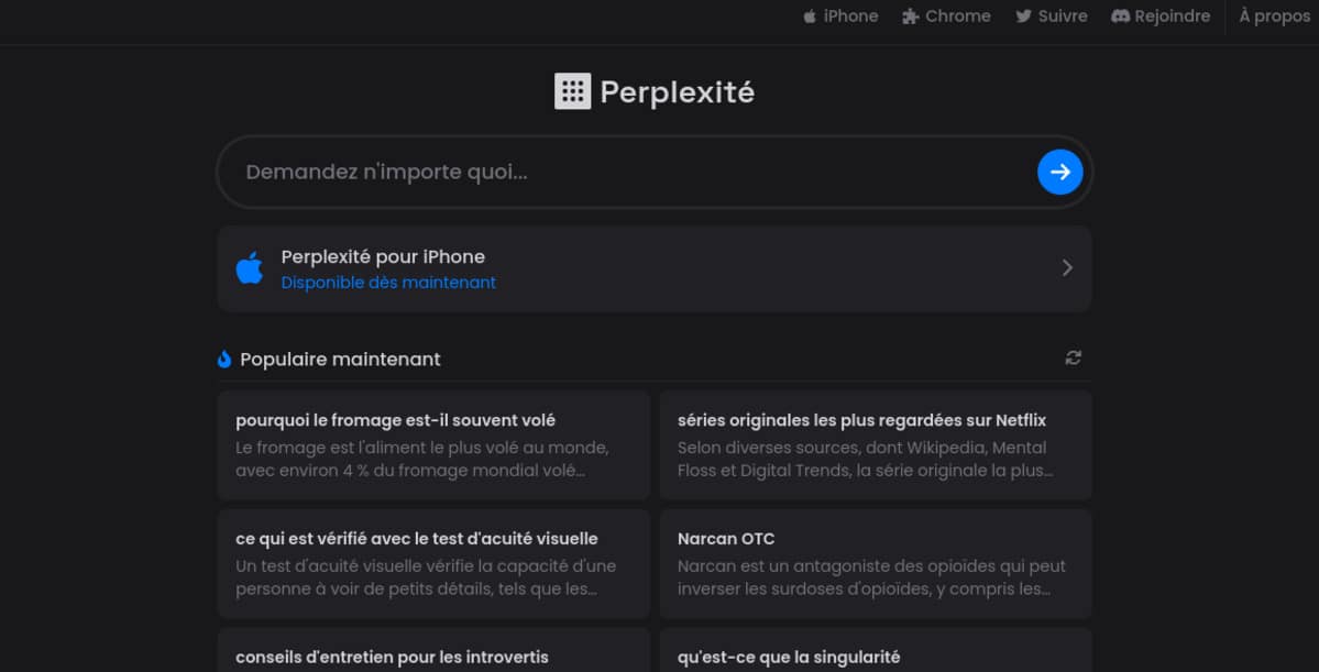 Perplexity iphone chatbot application ios 