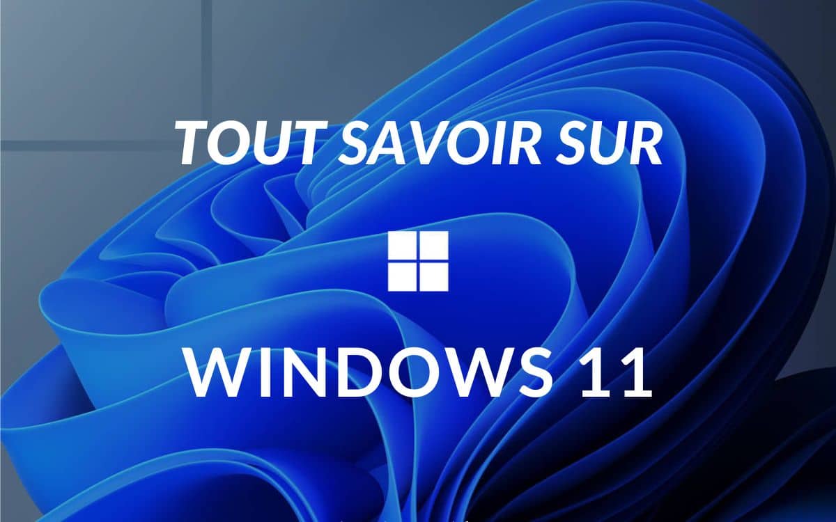 Windows 11 