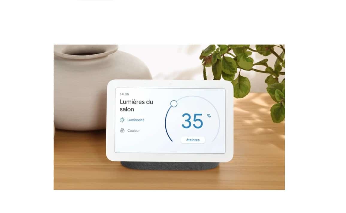 Google Nest Hub promotion Darty Fnac