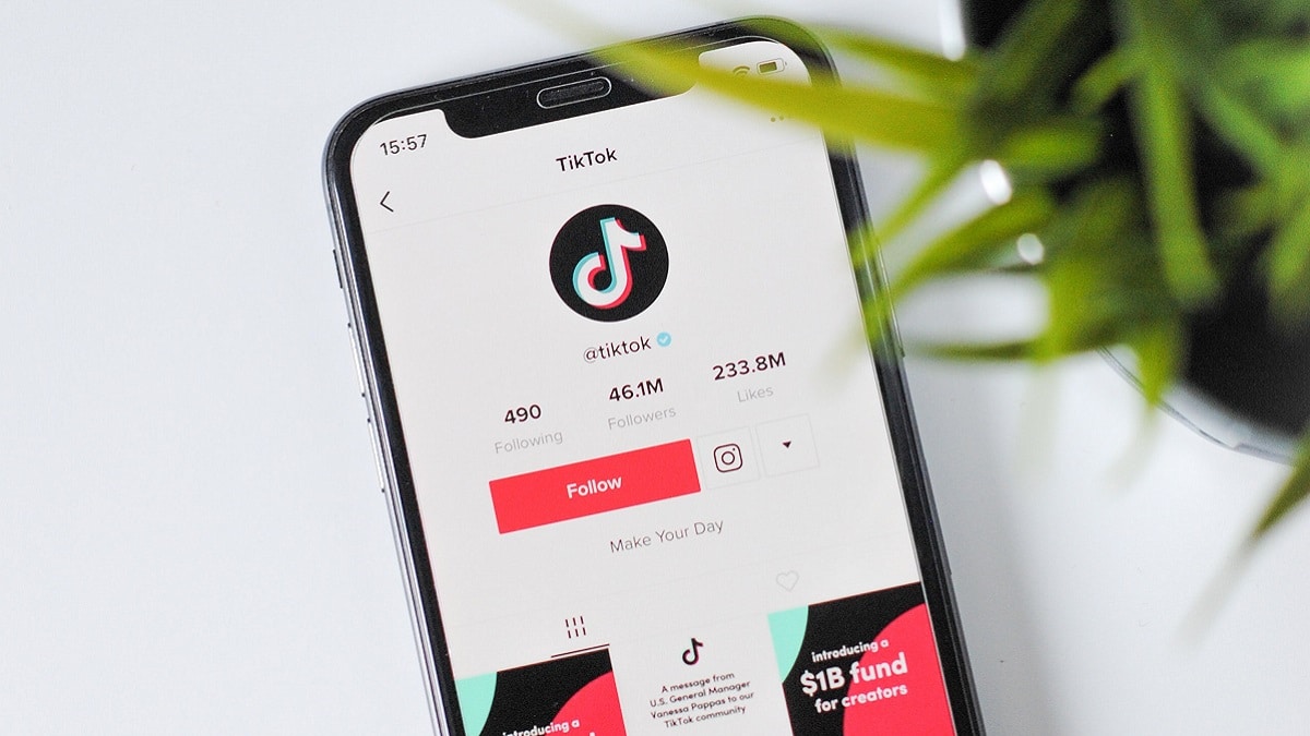 tiktok fonctionnaires français interdit 