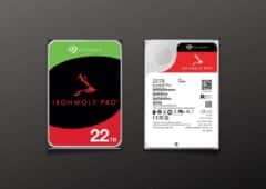 Seagate IronWolf Pro 22 To