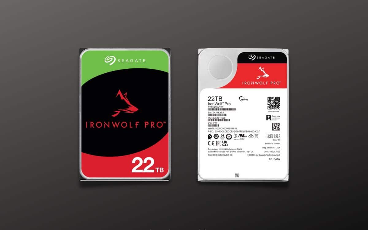 Seagate IronWolf Pro 22 To