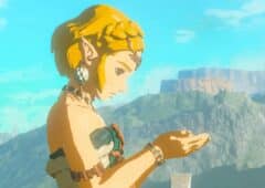 Zelda Tears of Kingdom