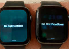 apple watch écran vert