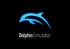 dolphin