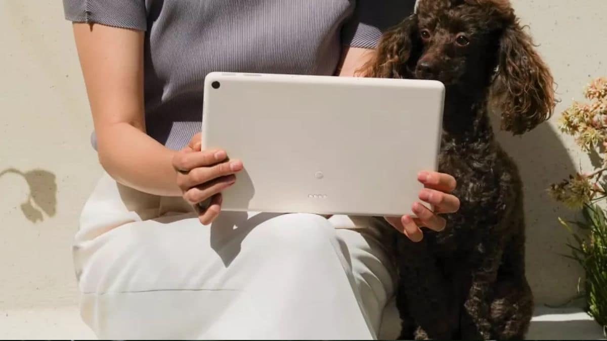 google pixel tablet doggo