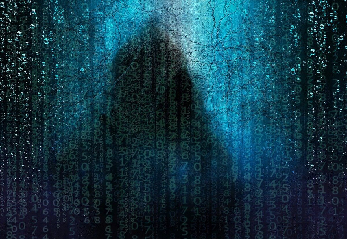 venomsoftx vipersoftx malware logiciel espion piratage hack hacking hacker pirate