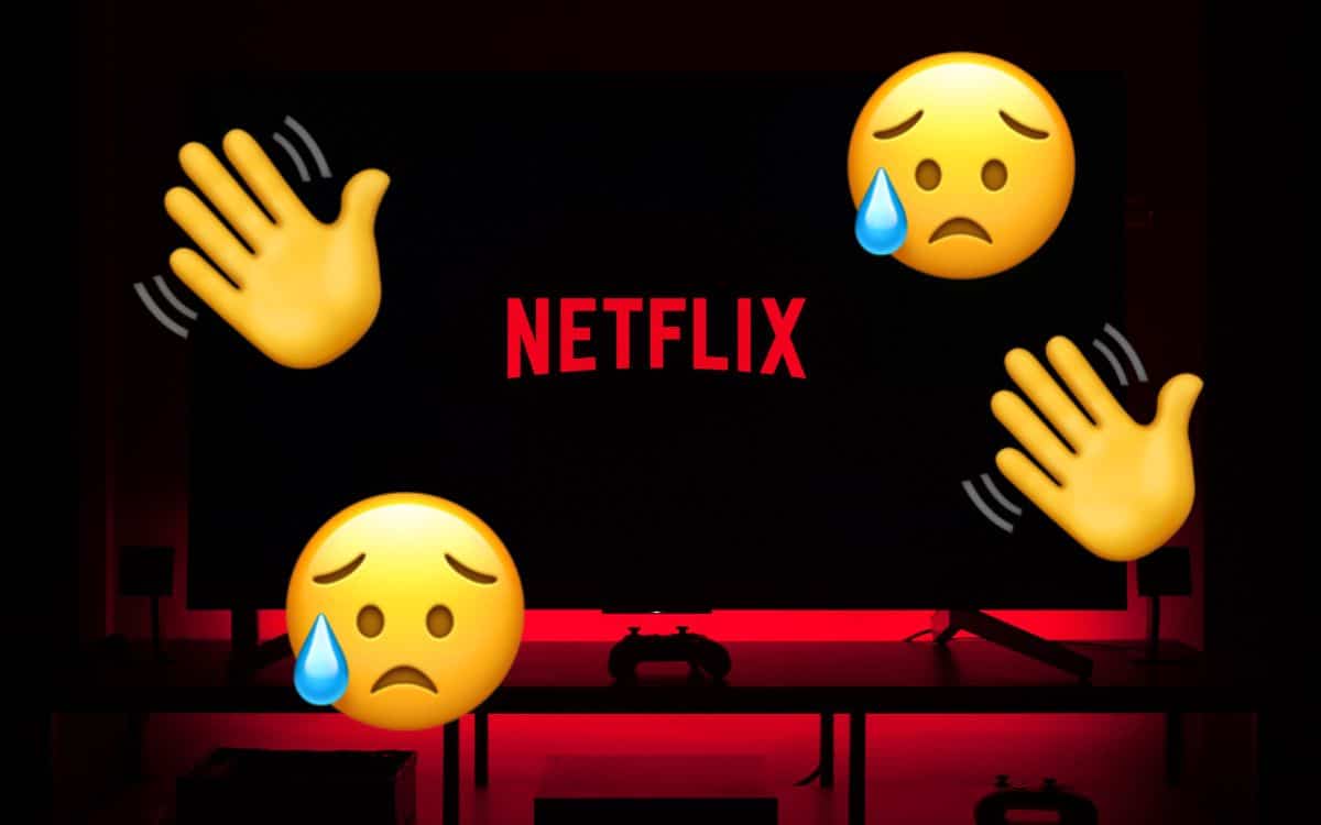 netflix fin partage de compte abonnement annuler annulation abonné streaming svod